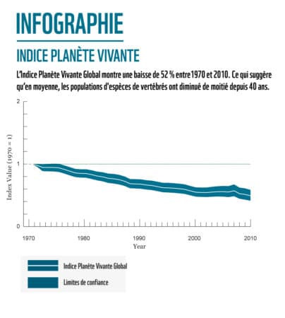 La moitié des espèces vivantes ont disparu en 40 ans