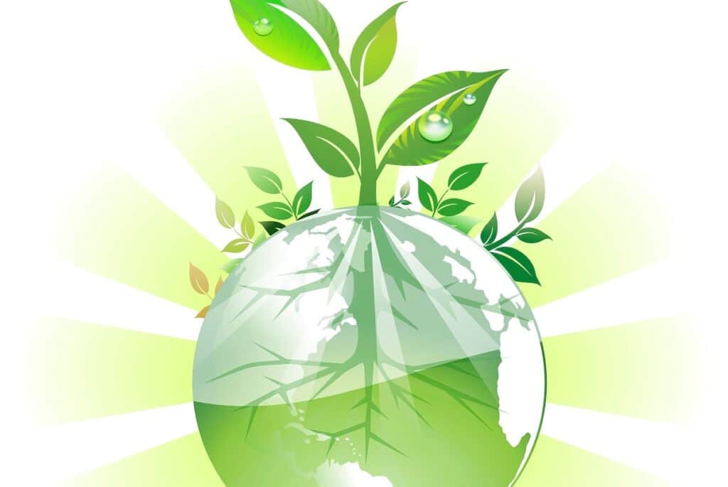 Un programme pour accélérer la transformation environnementale et sociale des TPE