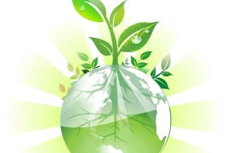 Un programme pour accélérer la transformation environnementale et sociale des TPE