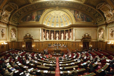 Les écologistes du Sénat présentent un plan anti particules fines