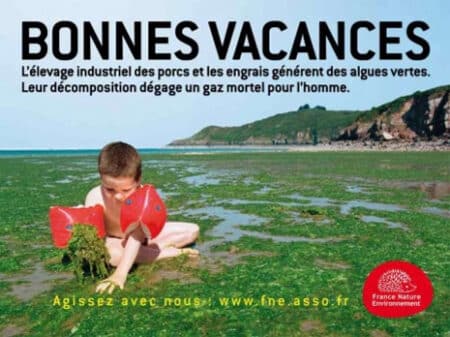 Pollution nitrate, la responsabilité de l’Etat soulignée