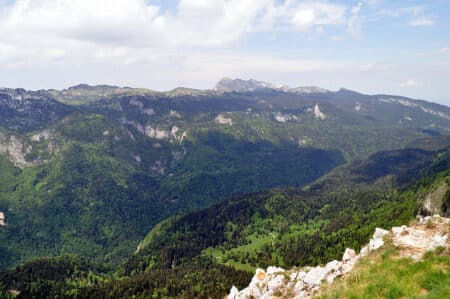 La Grande Chartreuse, forêt d’exception pour l’ONF