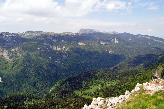La Grande Chartreuse, forêt d’exception pour l’ONF