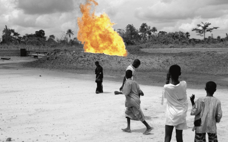 Pétition contre « l’impunité des multinationales »