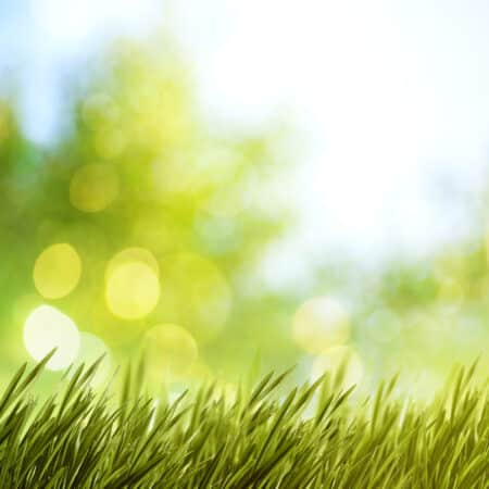 Compléments alimentaires : La responsabilité des marques