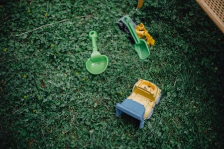 Biodiversité : verdir les villes a de vraies vertus