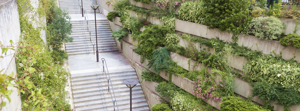 L’opération « du vert près de chez moi » continue à Paris