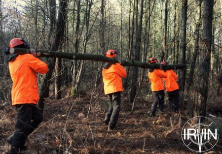 Projet IRVIN, l’écologie comme école professionnelle