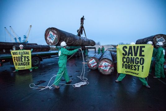 Importation illégale de bois, action choc de Greenpeace devant le ministère de l’Environnement