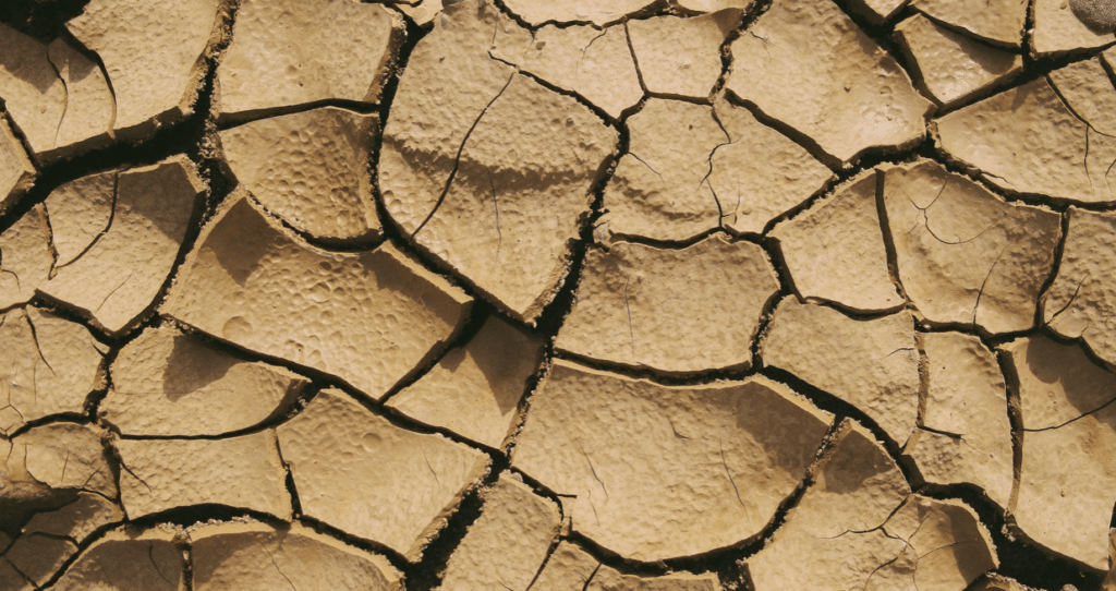 Signature d’un accord africain sur la mobilité climatique