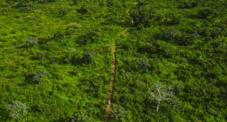 Au Brésil les indigènes gagnent un procès historique