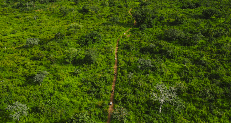 Au Brésil les indigènes gagnent un procès historique