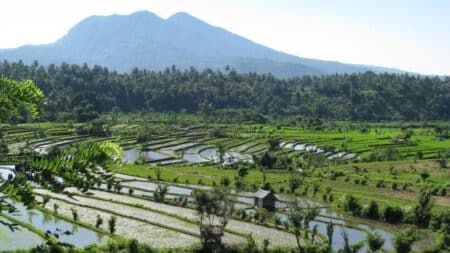 Pour l’IRD, les volcans ont un effet direct sur le climat de l’Atlantique Nord