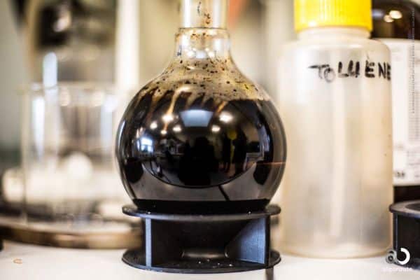 Du bio-bitume à base d’algues pour les routes