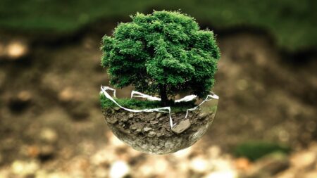 Les entreprises risquent d’être coupables de Greenwashing