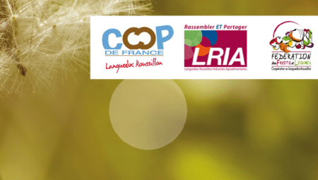 Le Languedoc-Roussillon à la pointe de la RSE