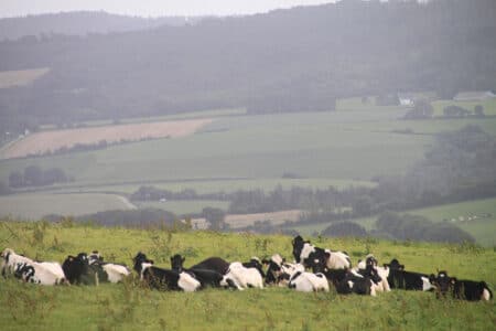 Filière laitière, les différents acteurs se mettent d’accord avec Stéphane Le Foll