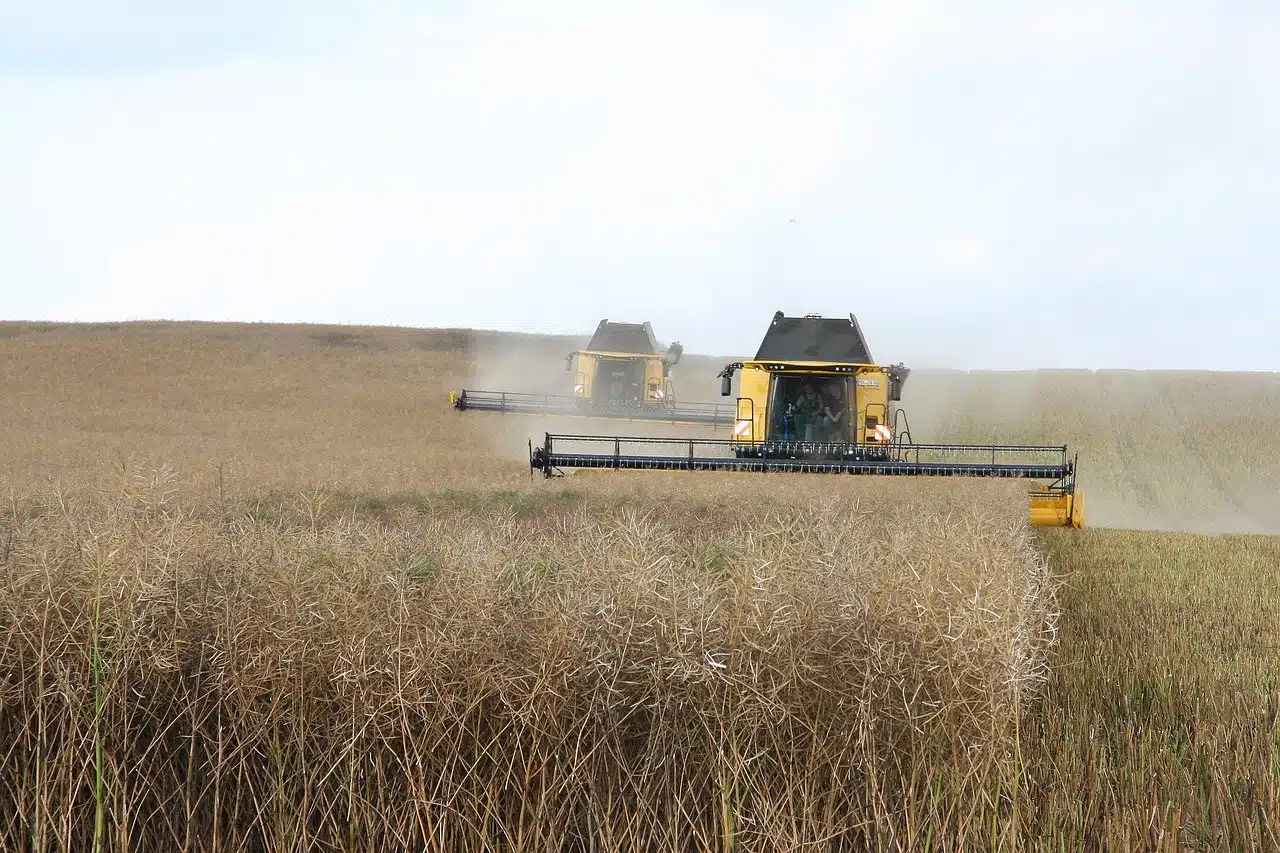 The UN warns of a possible global food crisis