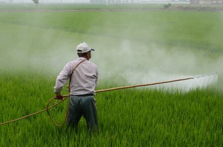 Environnement : Greenpeace publie un rapport sur l'impact des pesticides