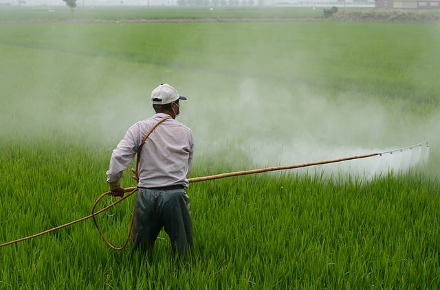 Environnement : Greenpeace publie un rapport sur l'impact des pesticides