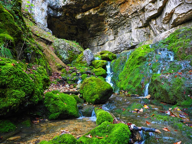 Environnement : des spéléologues traquent la pollution souterraine