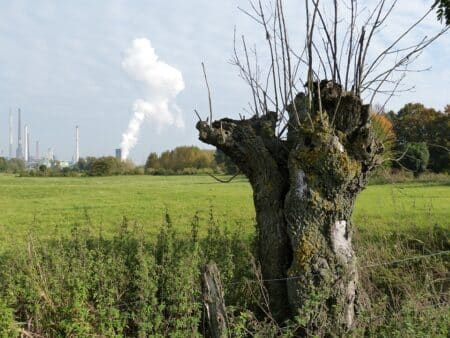 Tarn-et-Garonne et Hautes-Pyrénées : face à la pollution, les habitants informés