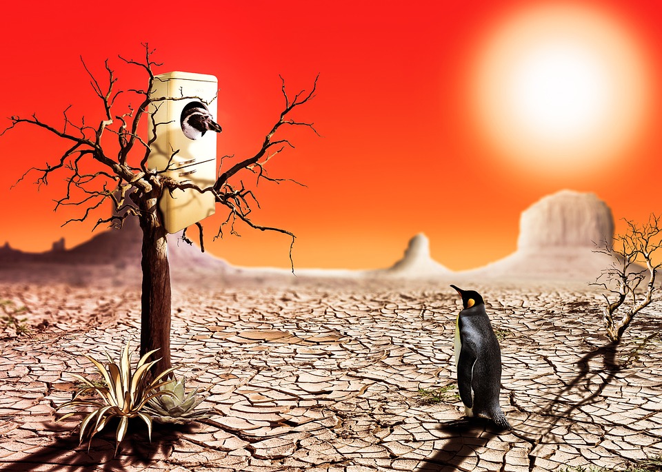 L'année 2015 aura été une année très chaude