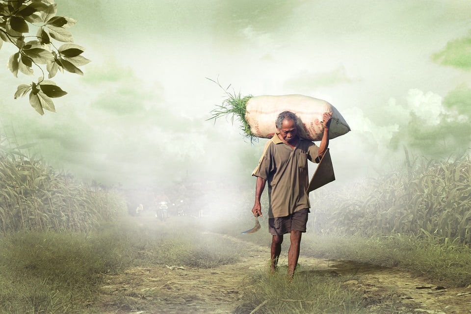 Le pape défend l’environnement au Mexique