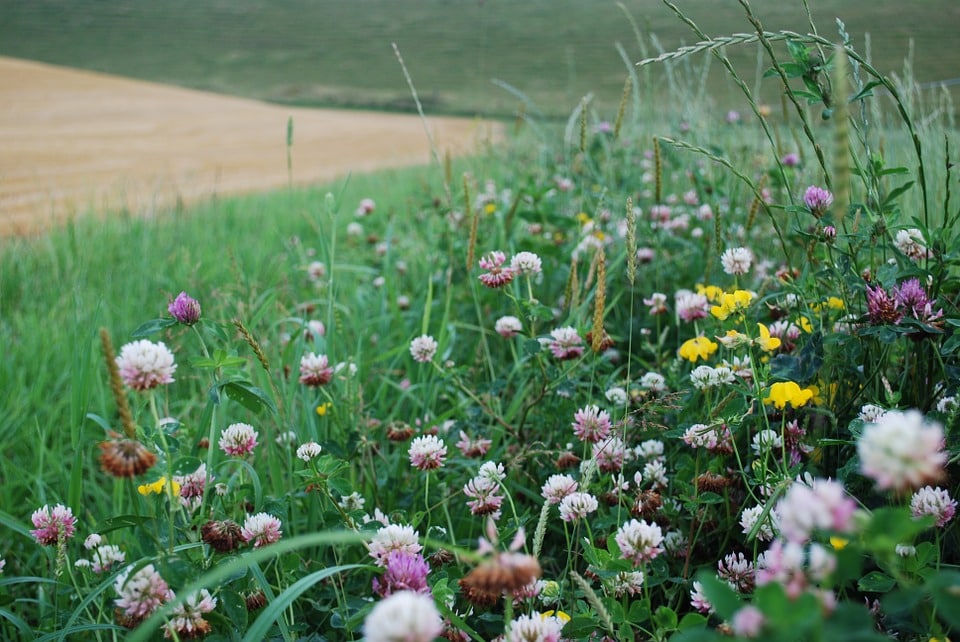 "Biodiversité", le projet de loi examiné à l'Assemblée nationale