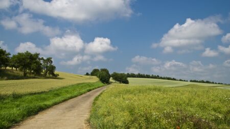Glyphosate, EELV s’insurge contre l’autorisation de la Commission européenne