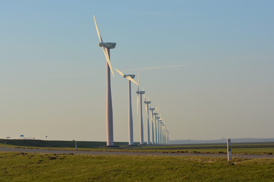 Chasseurs et pêcheurs dénoncent le « massacre » des campagnes par les éoliennes