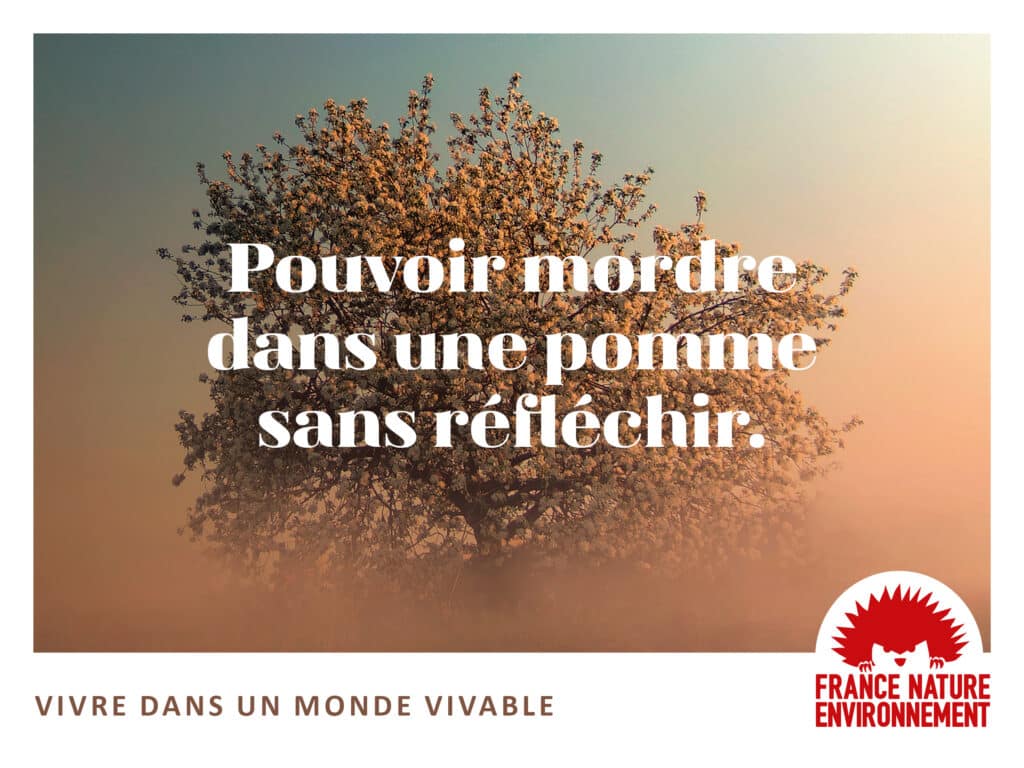FNE fait campagne pour « Vivre dans un monde vivable »