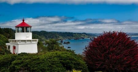 Voyager à Trinité-et-Tobago : faut-il s'inquiéter pour sa sécurité ?