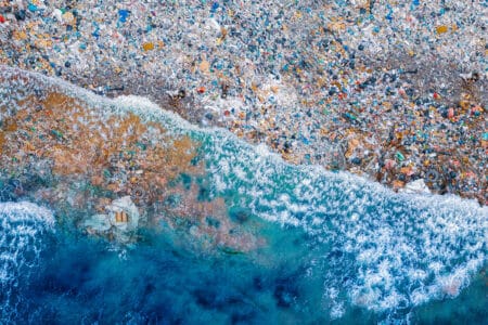 Donald Trump relance la polémique sur les pailles en plastique