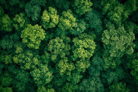 L'électrification des transports : une révolution pour la santé publique aux États-Unis