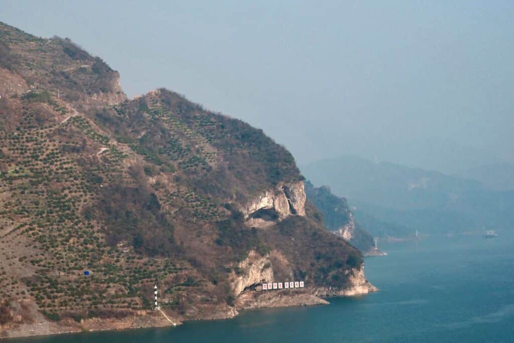 La montagne chiot : Une trouvaille qui cartonne en Chine