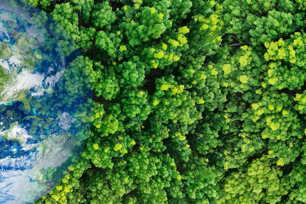 Shutterstock 2546902447