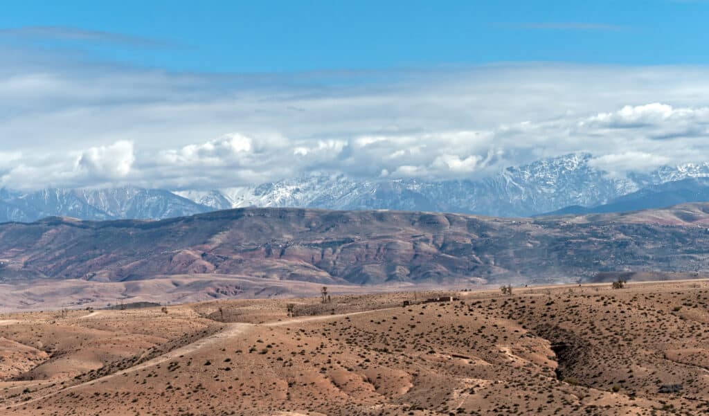 Ils boivent l’eau des nuages : la solution hallucinante de villages marocains pour survivre