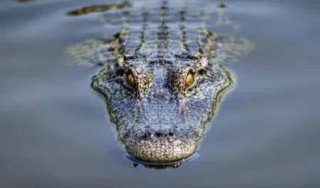 Ils ont survécu à la fin du monde… deux fois