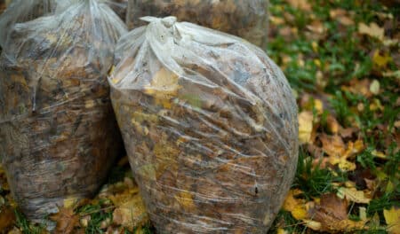 Vous jetez ça dans votre poubelle de jardin ? Vous pourriez le payer très cher…