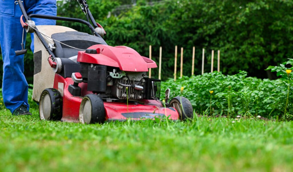 Déchets de tonte interdits en déchèterie : qui est concerné ?