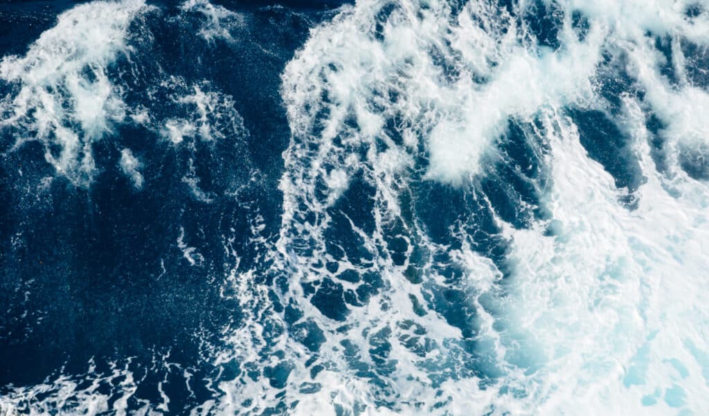 Une vague monstrueuse surgit en pleine mer : même les scientifiques n’y croyaient pas