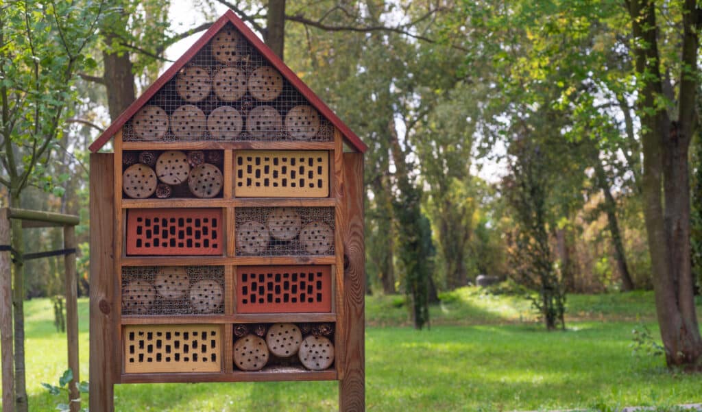 Ecotourisme : quels sont les tendances de l'été 2025 ?