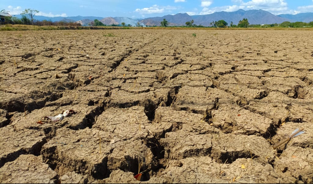 A cause de la sécheresse, l'Afrique du Sud se soulève de 2 millimètres chaque année