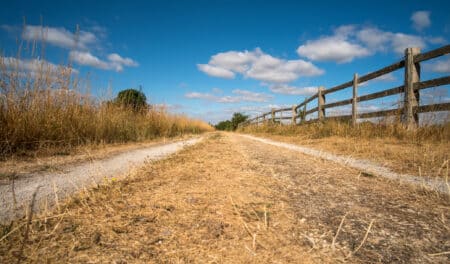 Canicule et sécheresse au programme de l'été 2025 : les scientifiques sont inquiets
