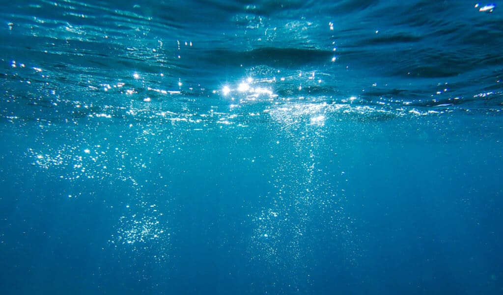 Pourquoi le niveau de la mer est anormalement bas ?