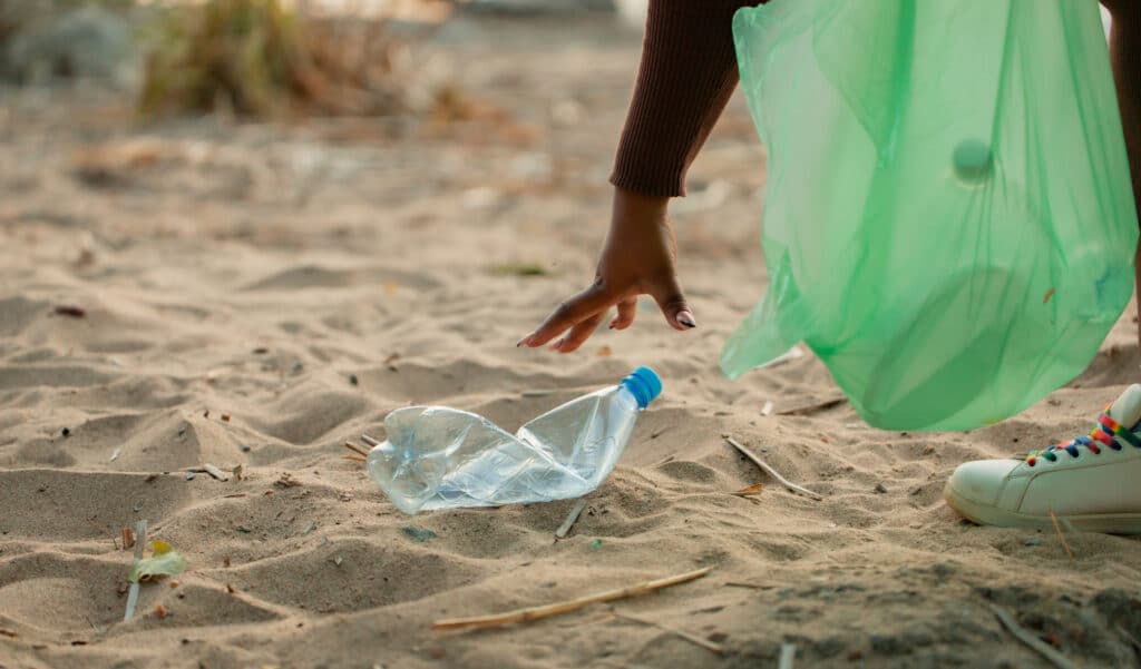 L'interdiction des sacs plastiques a-t-elle un impact sur l'environnement ?