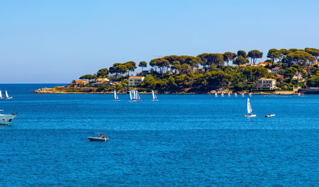 Canicule : la température de la mer Méditerranée inquiète les spécialistes