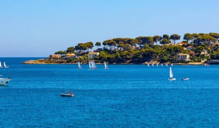 Canicule : la température de la mer Méditerranée inquiète les spécialistes