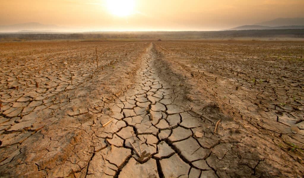 Sécheresse été 2025 : quels départements sont concernés par les restrictions d'eau ?